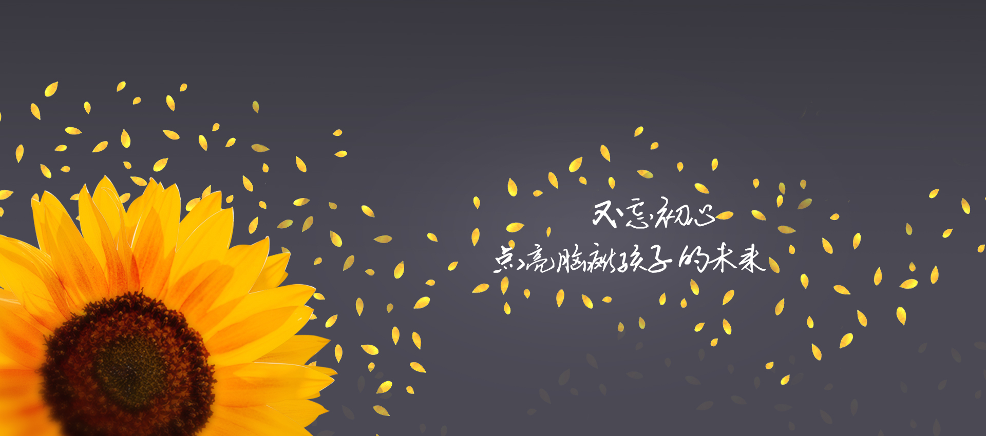 第三组广告